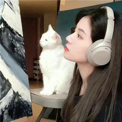灰姑娘的歌舞线上